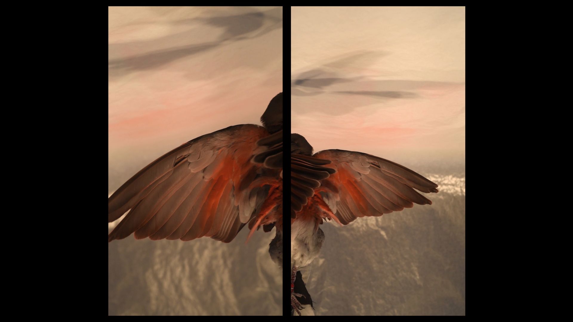 A still from "Part Three" by Linda Girvin